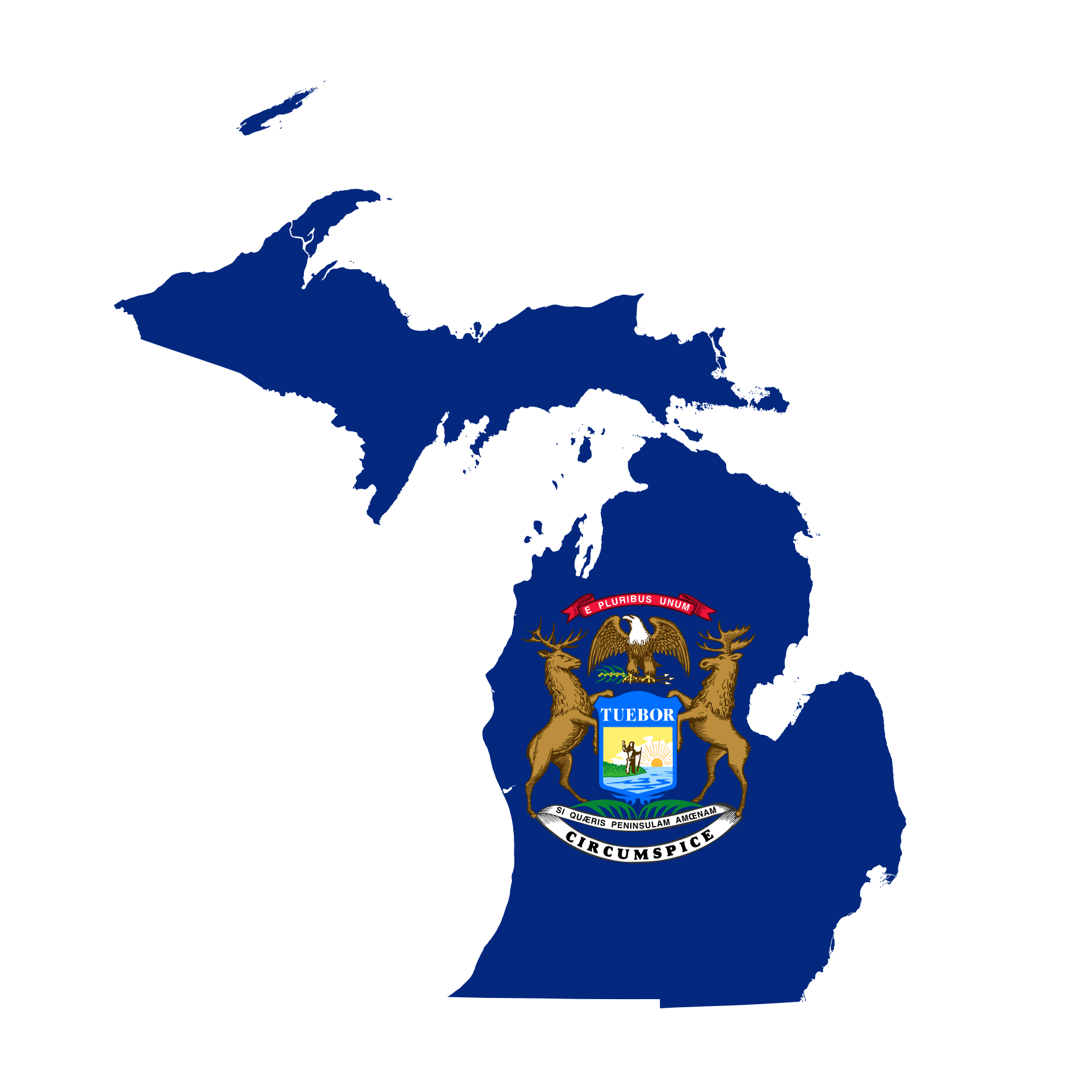 Michigan Senate Election Winner card icon