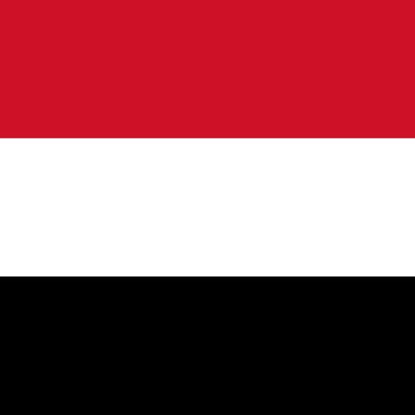 US-Yemen ceasefire continues through...? card icon